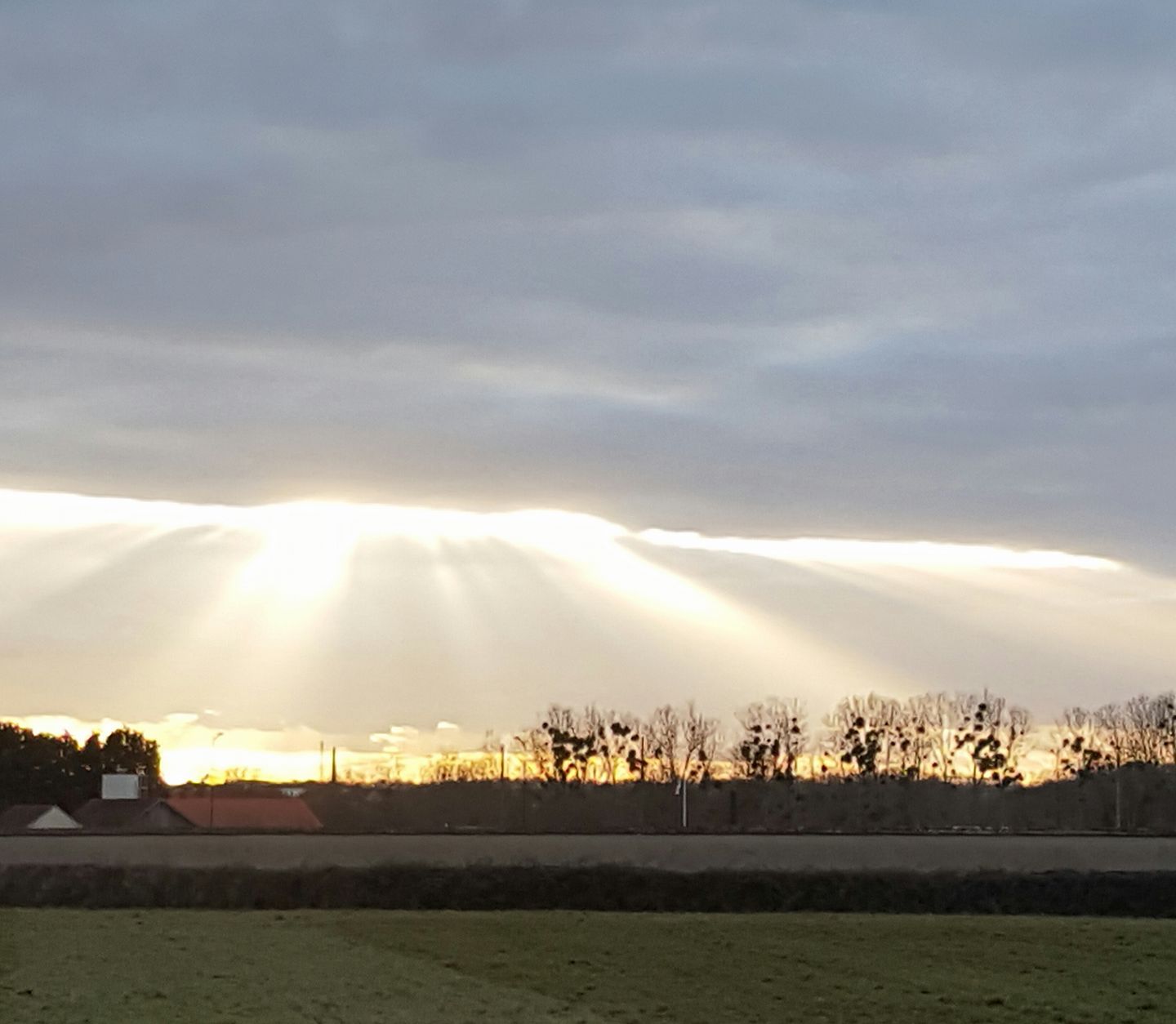 16835740_980896448710003_1751834548007201_o