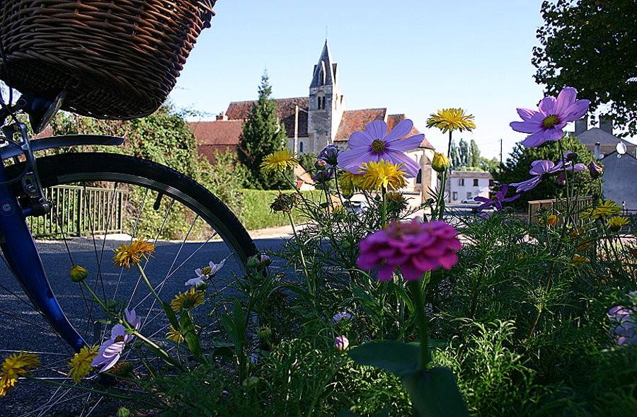 17361878_993112930821688_6322568746092144785_n