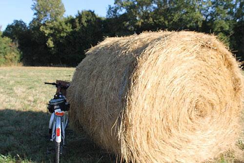 13310440_1724733657777200_266306663165515707_n