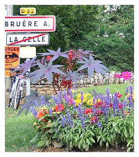 12400723_942338032516755_9218523318992669321_n