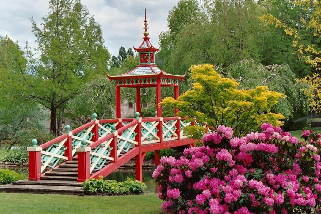 19984128_1075354469264200_6155005425666714267_o