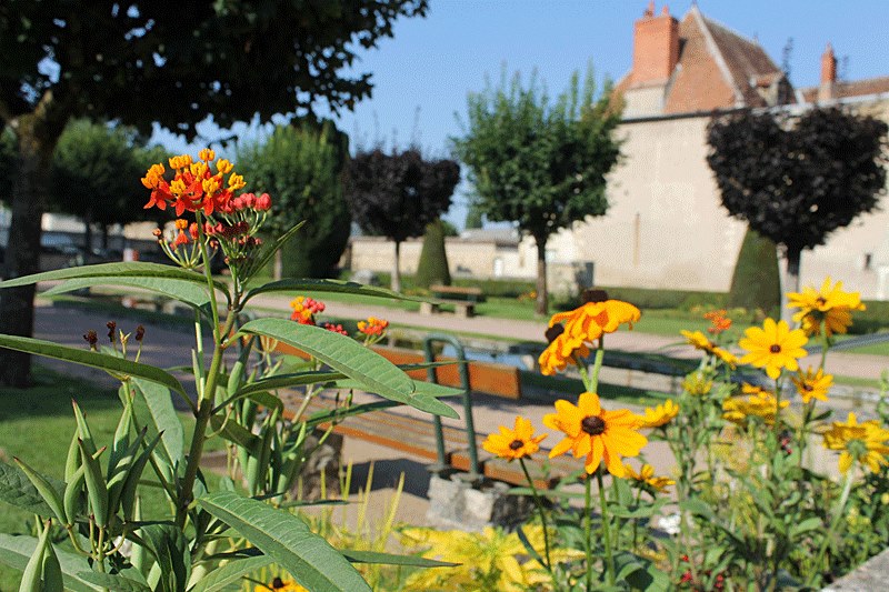 37707746_1338449429621368_3875545610488643584_n