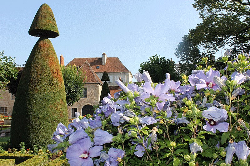 37827556_1338448972954747_3132675078991380480_n