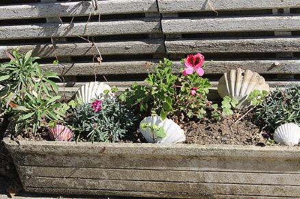 ARGENTON-SAINT-JAQUES