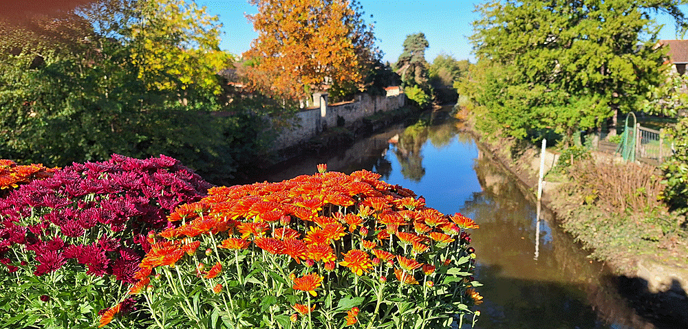 L&rsquo;automne en Berry : Couleurs et&nbsp;Traditions